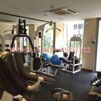 Rafflesia Condominium (D20), Condominium #93195802